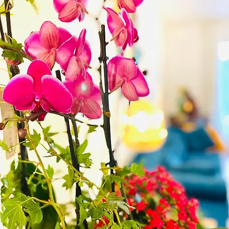 Casa Calina - De Charme Avec Jardin Secret & Poney Club Sur Place, Proche Plages Ferienhaus *