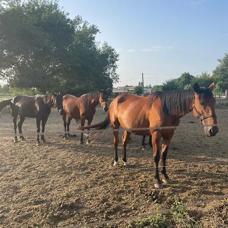 Casa Calina - De Charme Avec Jardin Secret & Poney Club Sur Place, Proche Plages Mauguio